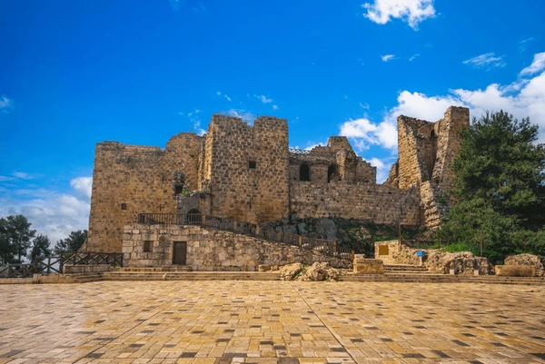 Ajloun Castle forest reserve Jordan